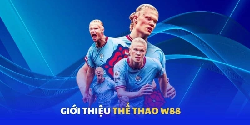 Tìm hiểu sảnh thể thao WW88
